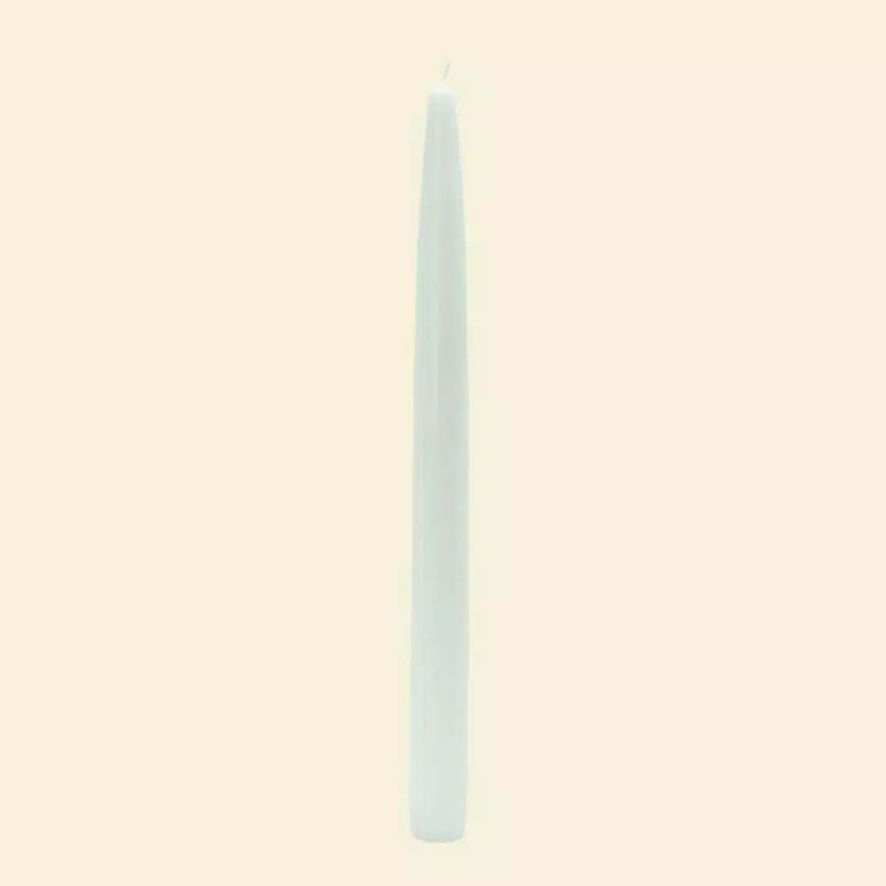 Zest Candle 10 in. White Taper Candles (12-Set)